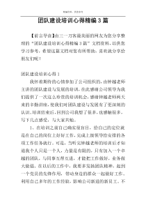 团队建设培训心得精编3篇