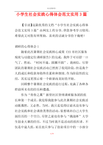 小学生社会实践心得体会范文实用3篇