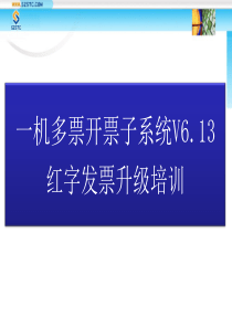 开票子系统红字发票升级培训讲议