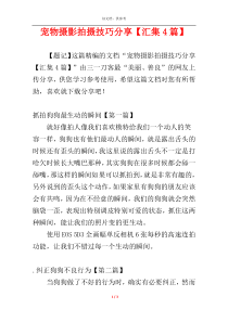宠物摄影拍摄技巧分享【汇集4篇】