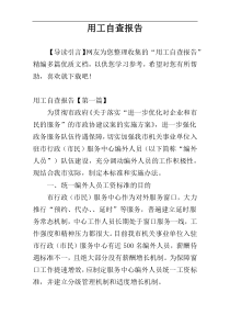 用工自查报告
