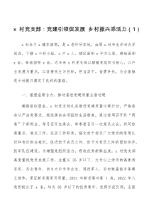 5篇村党支部乡村振兴模范党组织建设工作经验材料范文村级党组织创建工作