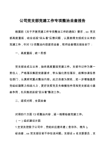 公司党支部党建工作专项整治自查报告