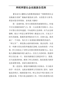 网吧网管社会实践报告范例