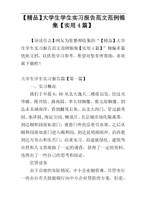 【精品】大学生学生实习报告范文范例锦集【实用4篇】