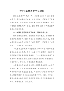 述职报告2021年党总支书记述职