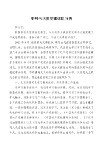 总结报告支部书记抓党建述职报告