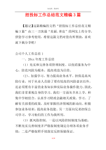 招投标工作总结范文精编3篇