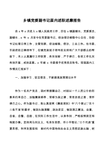 乡镇党委副书记届内述职述廉报告