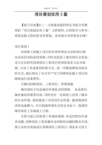 项目策划实用3篇