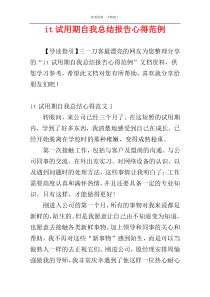 it试用期自我总结报告心得范例