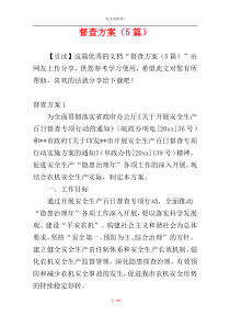 督查方案（5篇）
