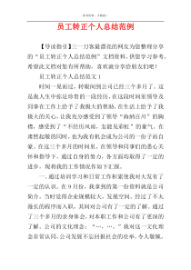 员工转正个人总结范例