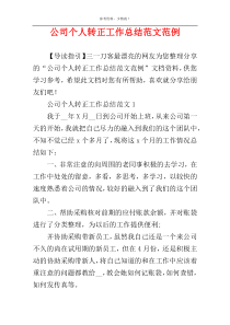 公司个人转正工作总结范文范例