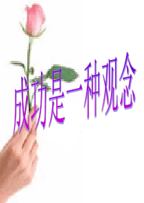 成功是一种观念(全省组训培训)