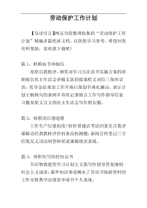 劳动保护工作计划