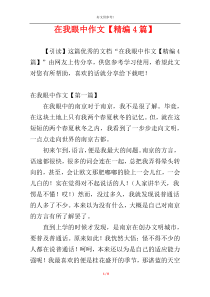在我眼中作文【精编4篇】