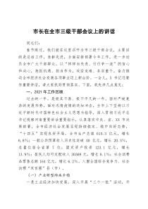 市长在全市三级干部会议上的讲话