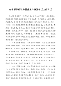 在干部职级职务晋升集体廉洁谈话上的讲话