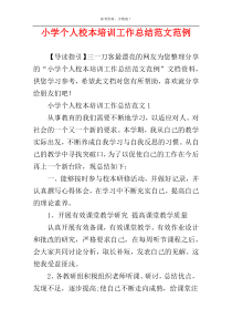 小学个人校本培训工作总结范文范例