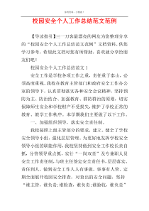 校园安全个人工作总结范文范例