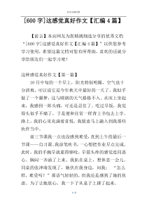 [600字]这感觉真好作文【汇编4篇】