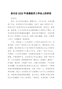 县长在2022年县委经济工作会上的讲话