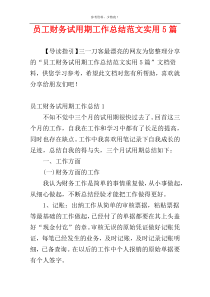 员工财务试用期工作总结范文实用5篇