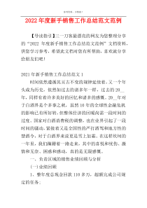 2022年度新手销售工作总结范文范例