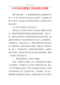 中小学安全管理工作总结范文范例