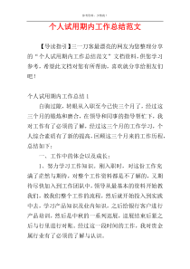 个人试用期内工作总结范文
