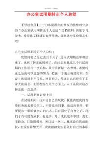 办公室试用期转正个人总结