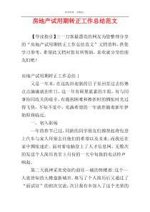 房地产试用期转正工作总结范文