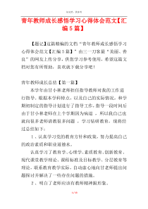 青年教师成长感悟学习心得体会范文【汇编5篇】