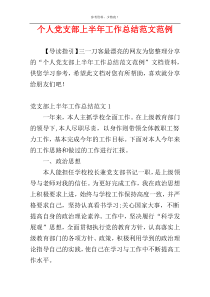 个人党支部上半年工作总结范文范例