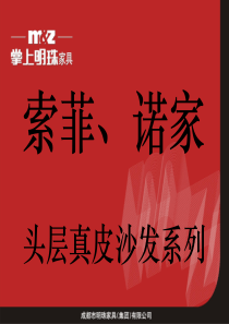 掌上明珠真皮沙发培训资料