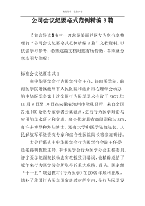 公司会议纪要格式范例精编3篇