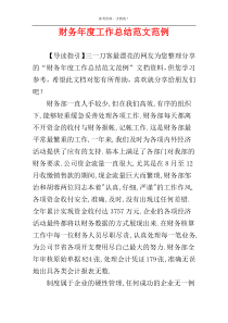 财务年度工作总结范文范例