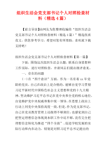 组织生活会党支部书记个人对照检查材料（精选4篇）