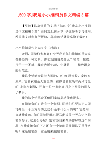 [500字]我是小小推销员作文精编3篇