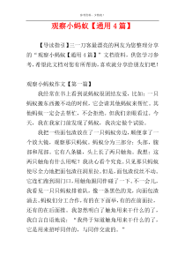 观察小蚂蚁【通用4篇】