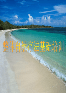 整体自然疗法基础培训幻灯片