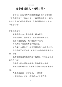 青春感悟作文（精编3篇）