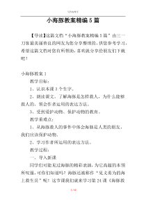 小海豚教案精编5篇