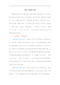 审计人培训心得