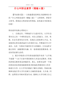 什么叫职业素养（精编4篇）