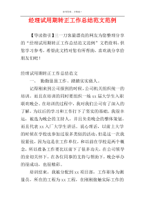 经理试用期转正工作总结范文范例