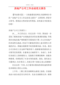 房地产公司工作总结范文报告