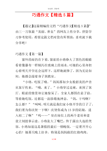 巧遇作文【精选5篇】