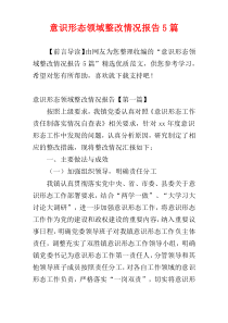 意识形态领域整改情况报告5篇